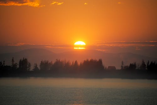 Základová fotografie zdarma na téma báječný, břeh řeky, čeření