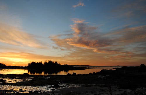 Ilmainen kuvapankkikuva tunnisteilla auringonlasku, auringonvalo, ekosysteemi