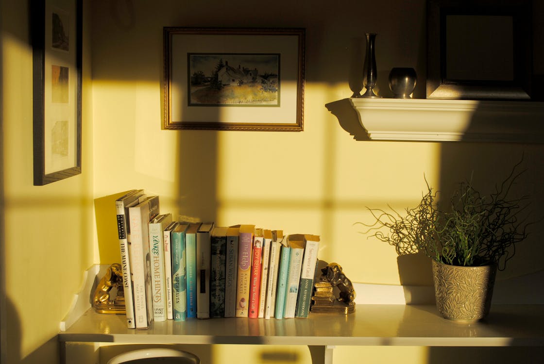 Free Shelf with books souvenirs and verdant potted flower in room corner in sunlight Stock Photo