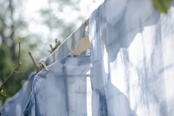 From below of washed clothes hanging on clothesline in green yard on sunny day