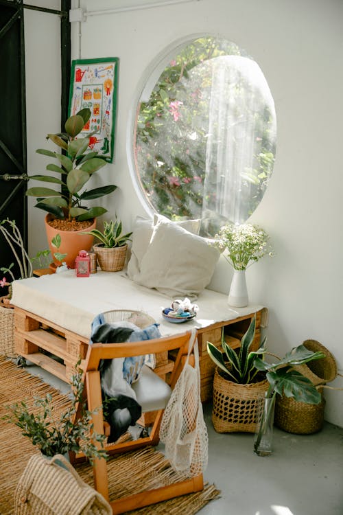 Cozy light room with wooden furniture and various potted houseplants