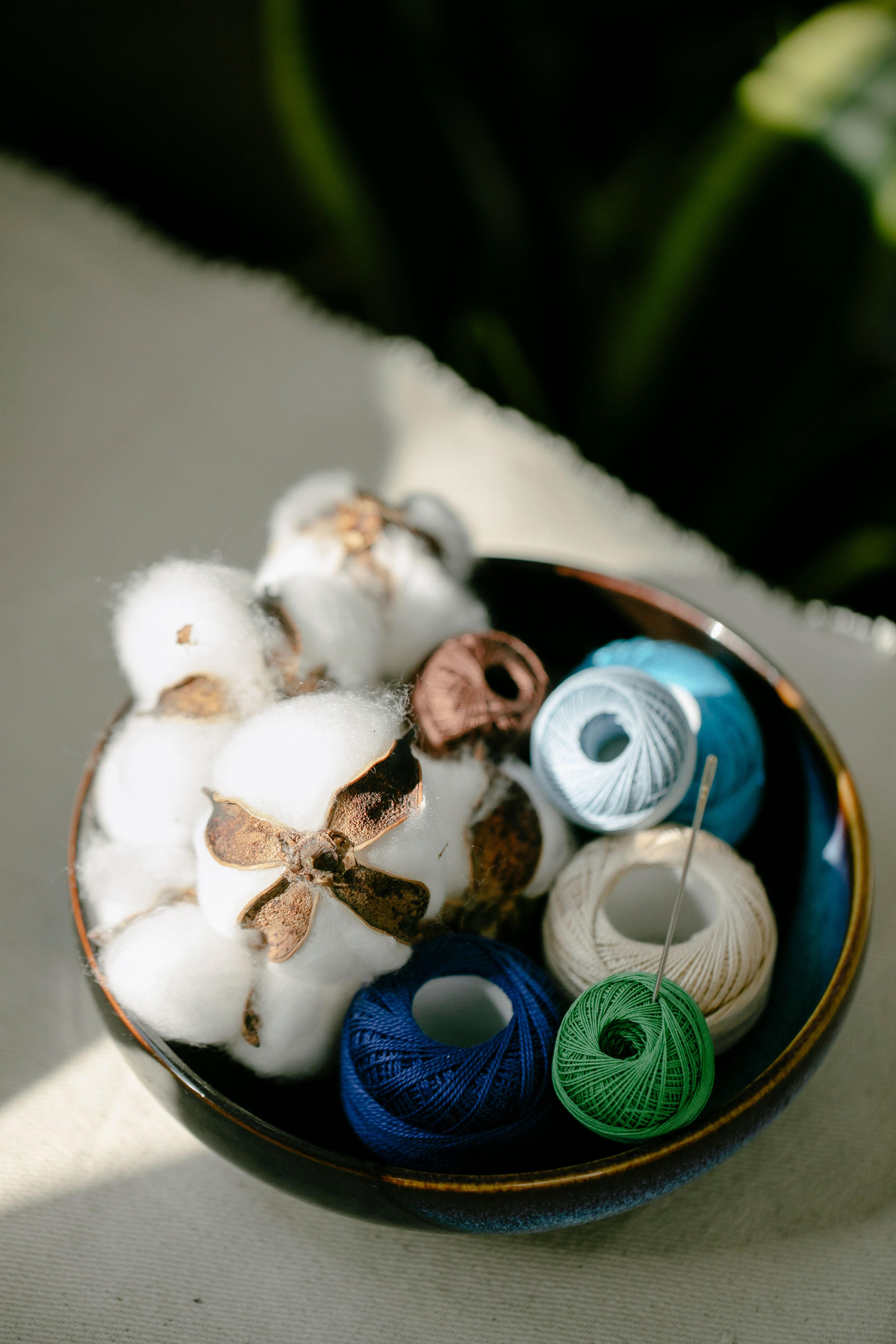 Kit of threads with cotton balls placed in bowl · Free Stock Photo