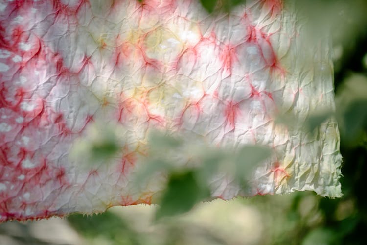 Pink Dyed Cloth With Crease Pattern Drying Outdoors