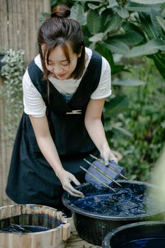 gromwell root purple dye