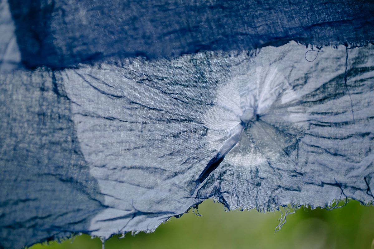 Indigo-dyed cloth crumpled and drying outdoors