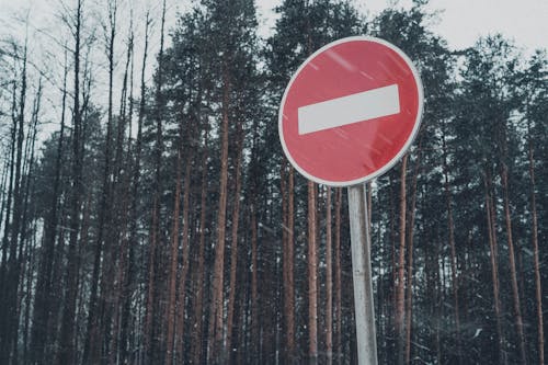 Free No Entry sign near snowy forest Stock Photo