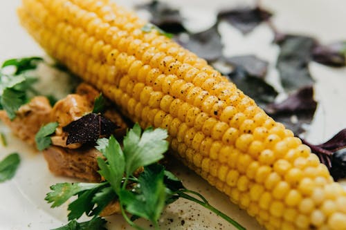 Tasty boiled corn cob served on table with herbs