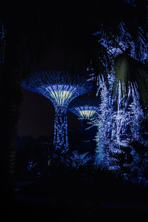 Glowing magic trees in garden at night