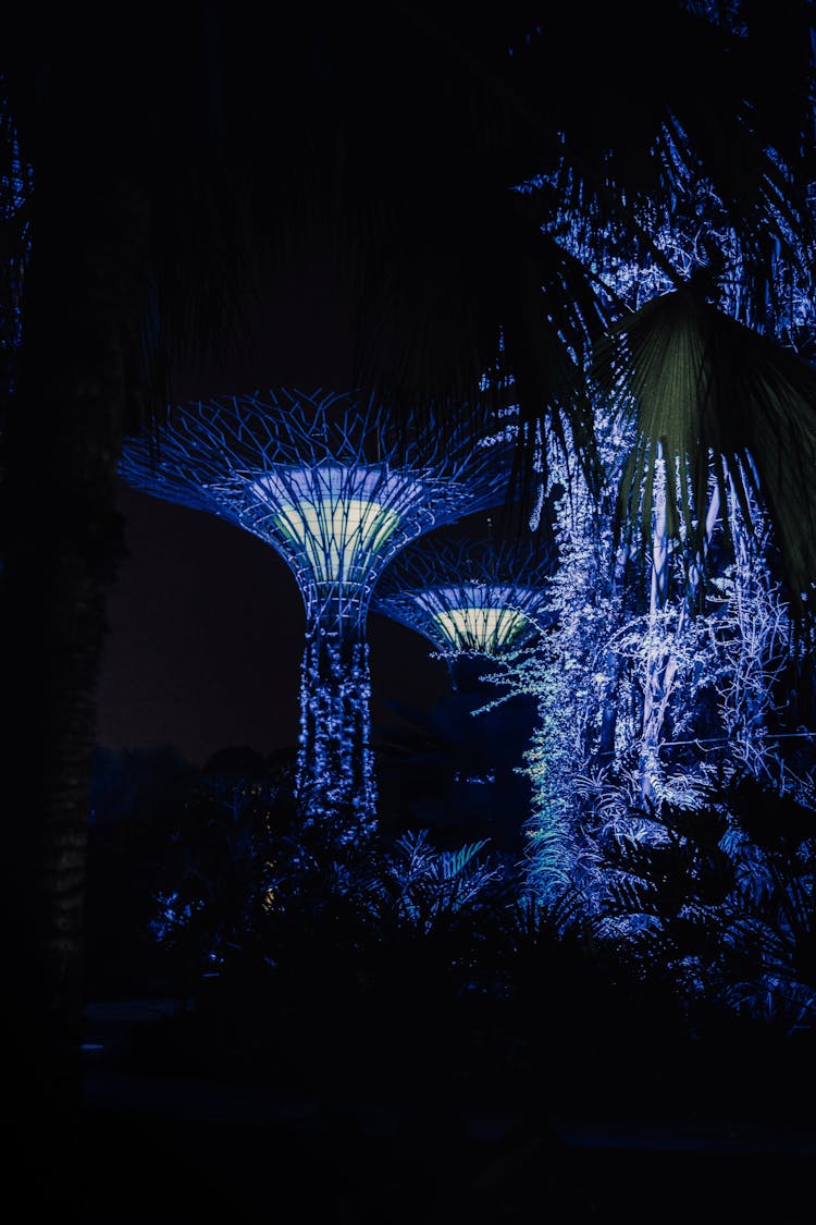 Glowing Magic Trees In Garden At Night