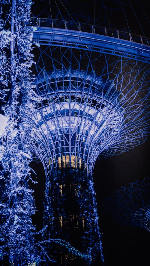 Futuristic illuminated magic tree growing in park in Singapore