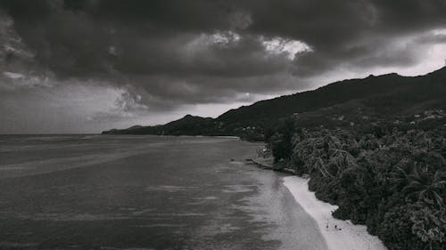 Free stock photo of beach, beach background, black and white background