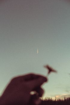 Blurry hand holding a flower with a meteor in the twilight sky, creating a dreamy scene.