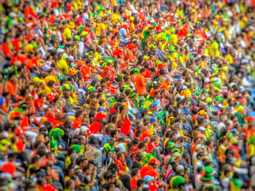 Free stock photo of crowd, football crowd, soccer
