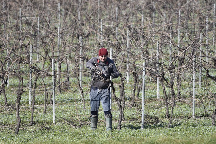 Man Surrounded With Leafless Trees