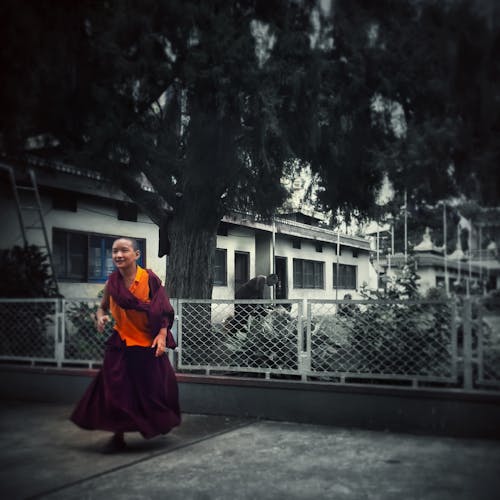 Free stock photo of happiness, india, monk