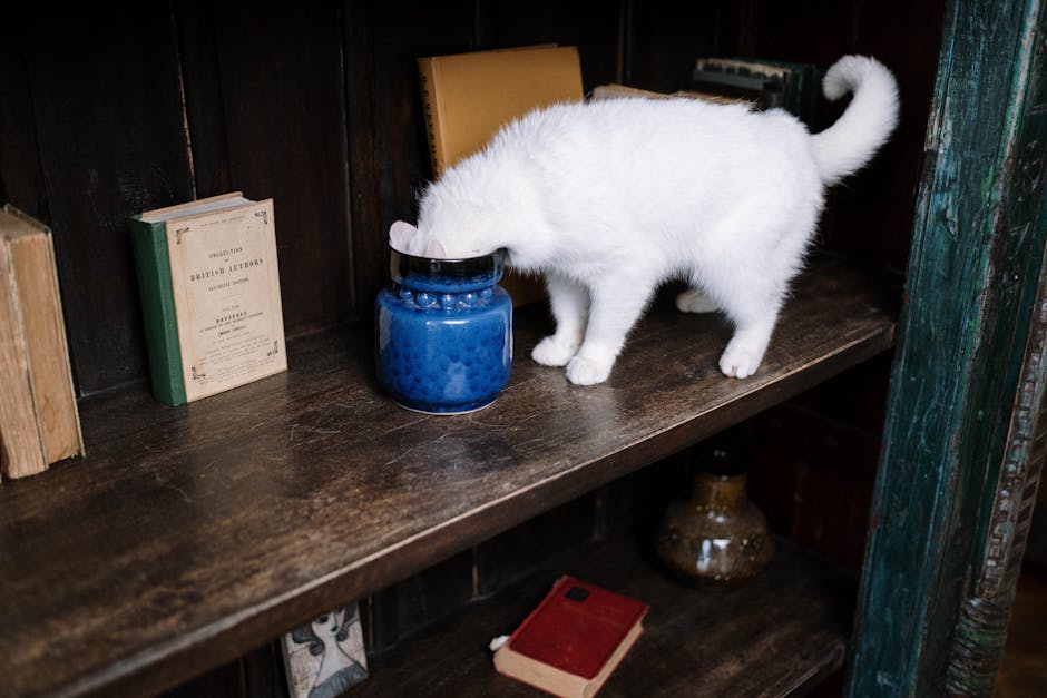 White Cats Head Inside The Jar