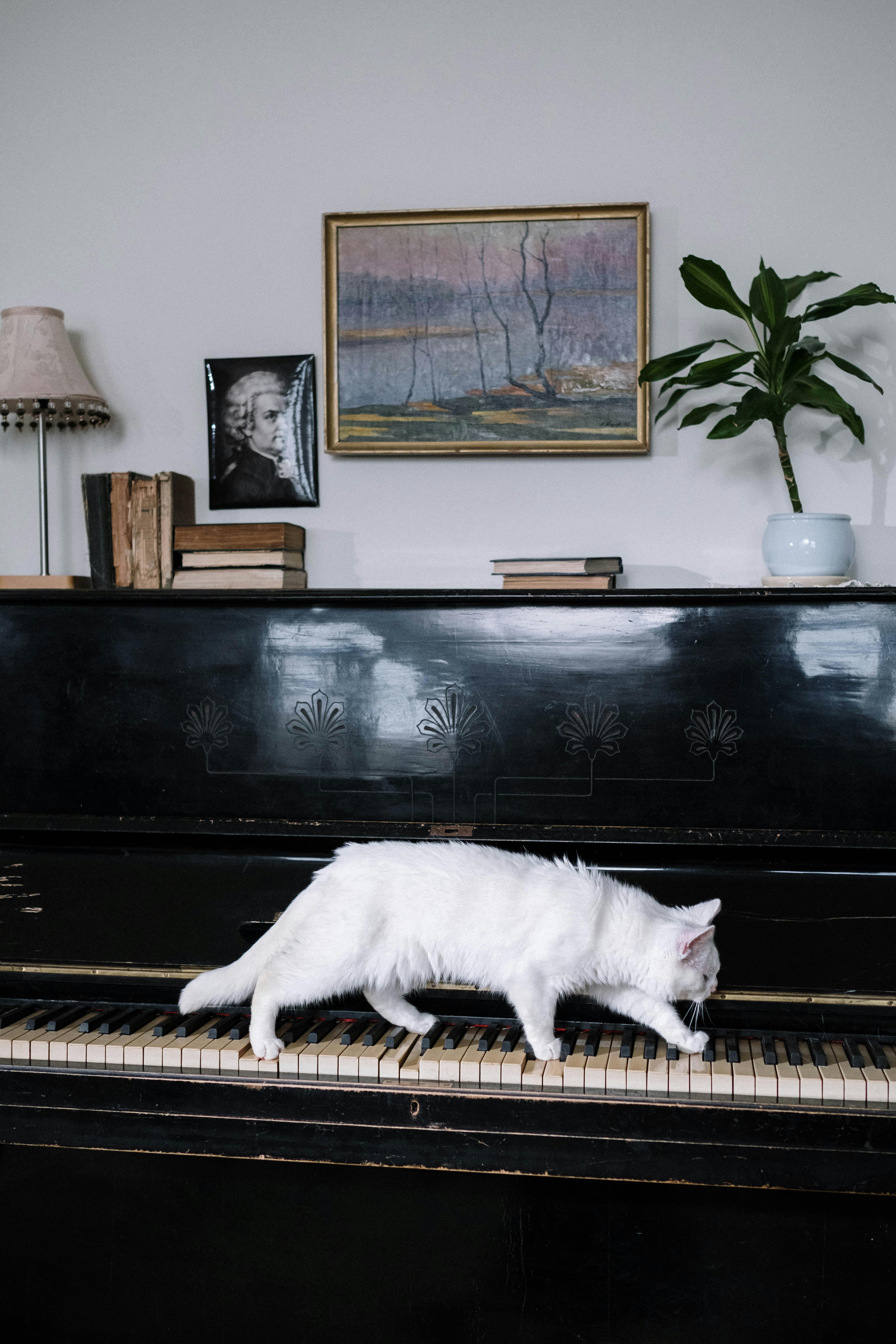 White cat walking on keyboard of upright piano.