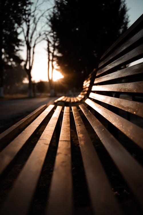Wooden Bench in Close Up Photography