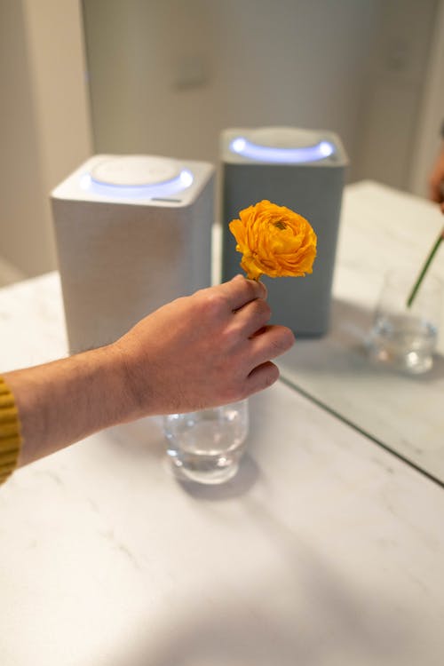 Hand Holding a Yellow Flower