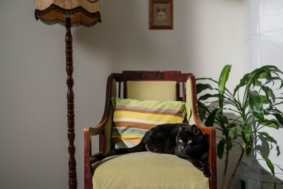 Como Criar um Cantinho de Fé Aconchegante em Casa