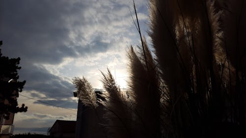 Бесплатное стоковое фото с небо, облака, солнечный свет