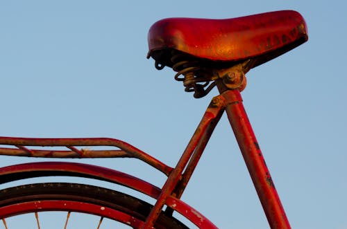 Бесплатное стоковое фото с Велосипедное седло, красный