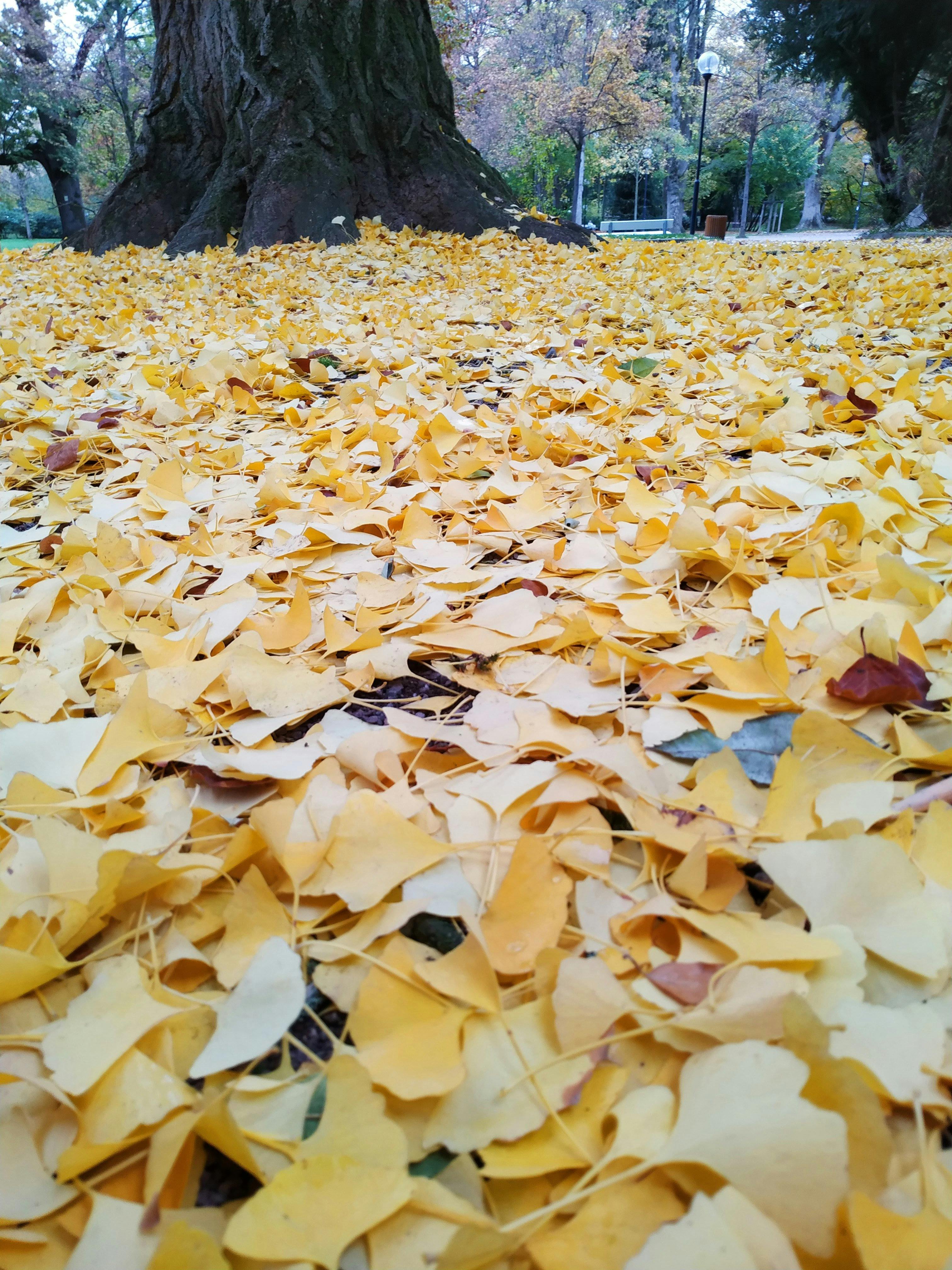 一位女士正在进行核心训练，展示了腹部肌肉的锻炼