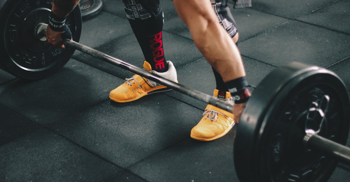 How many times their body weight can an ant lift