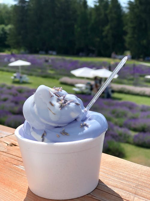 Free stock photo of ice cream cone, lavender field Stock Photo