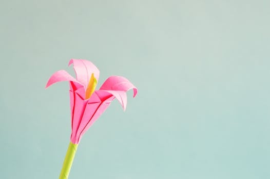 Pink 4 Petaled Flower