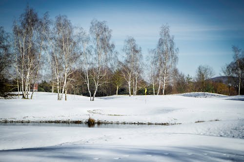 Winter Landscape with a Small Pond 