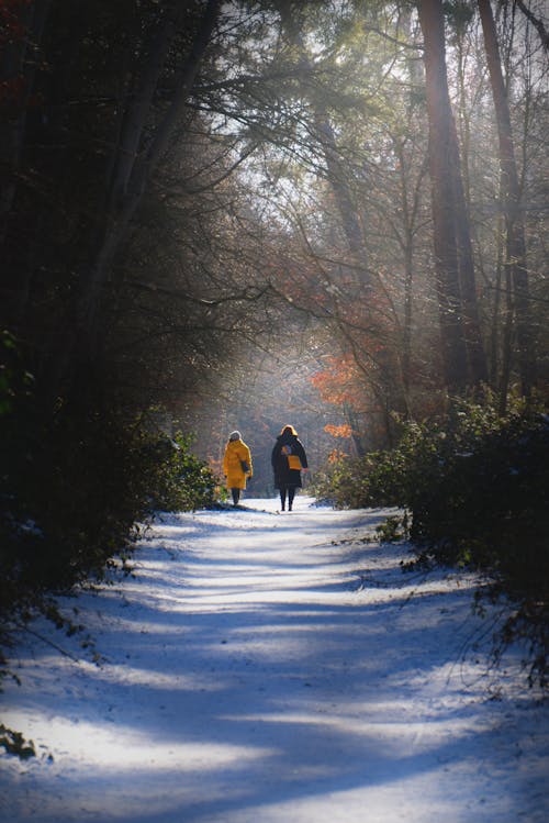 Two People Walking in a Forest
