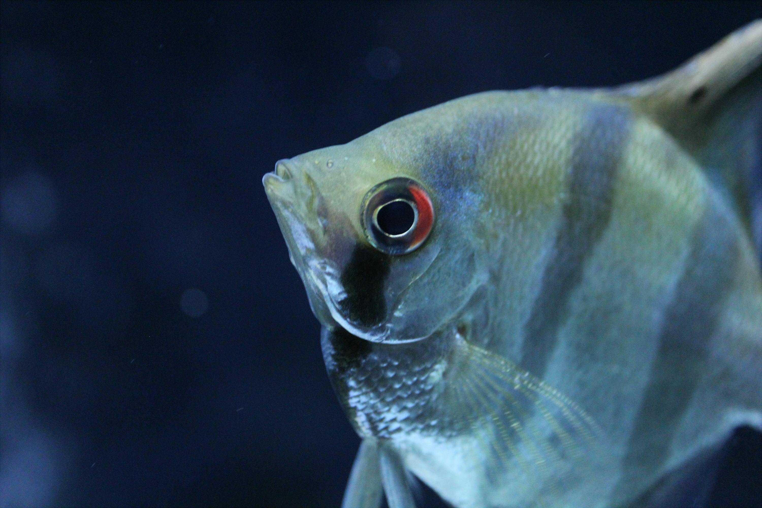 Thomas Jasper Fotografie