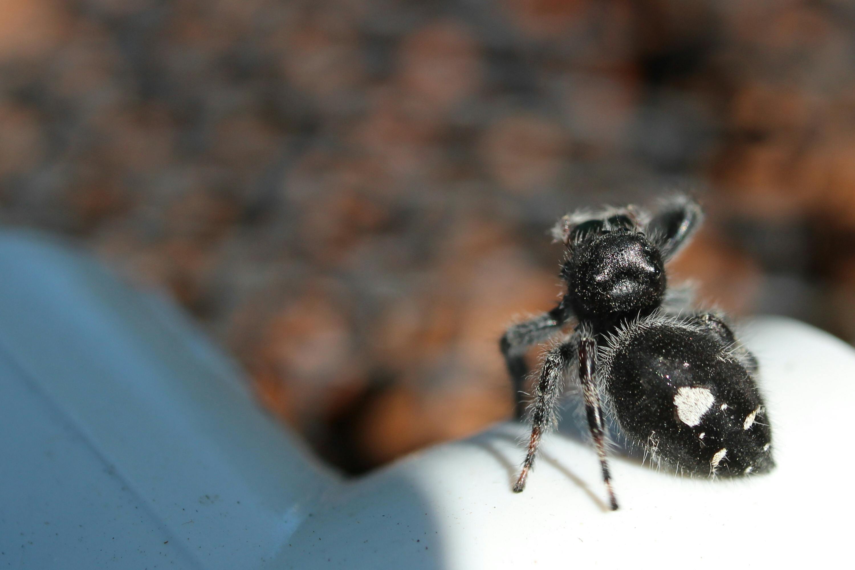 Thomas Jasper Fotografie