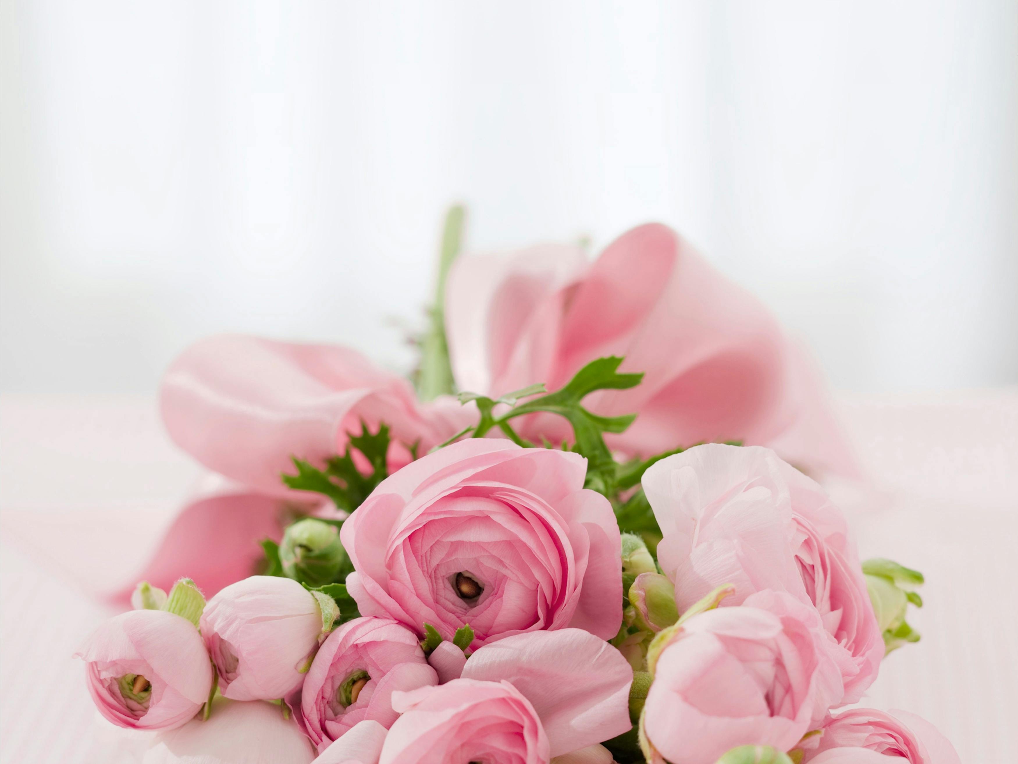 ピンクのバラの花束 無料の写真素材