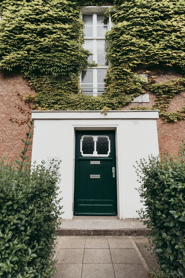 House Facade With Hanging Plants