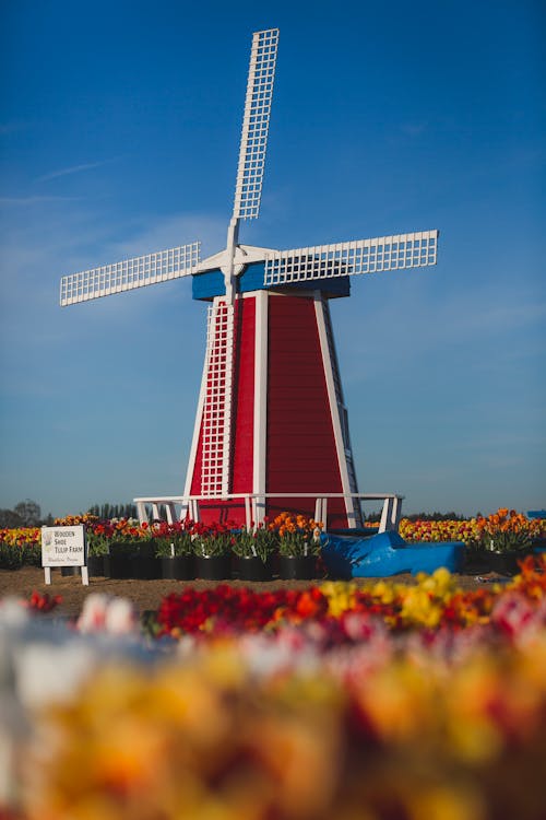 赤 白 青の風車 無料の写真素材