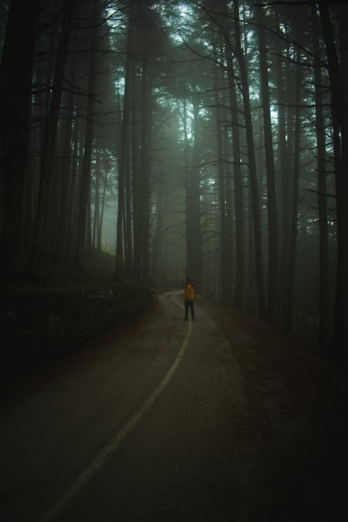 Photo of a Person Standing on a Road in the Middle of the Woods