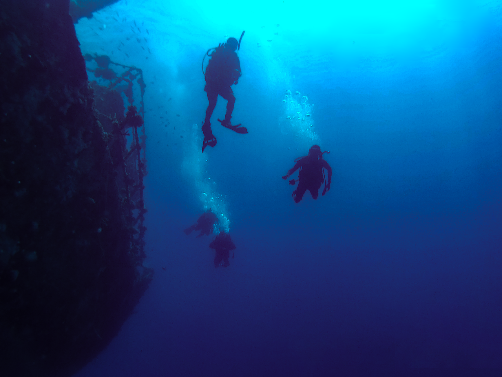 underwater wreck coral divers ocean