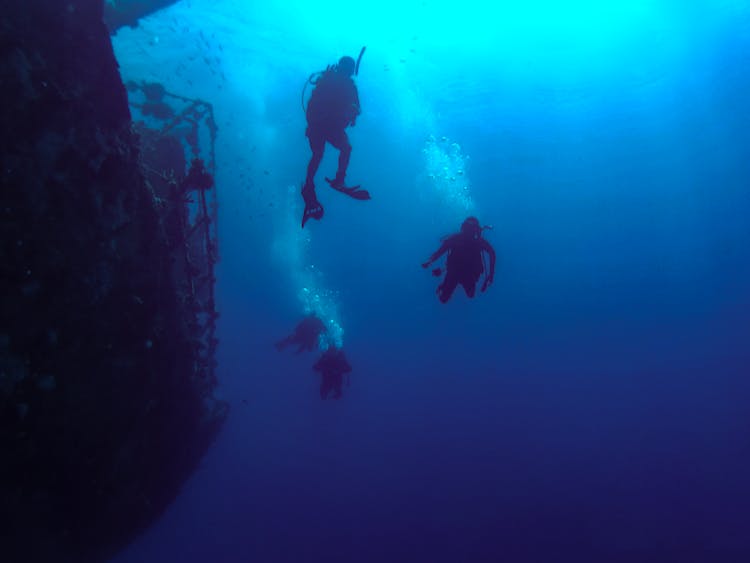 Scuba Divers Near A Shipwreck