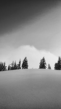 Minimalist snow-covered landscape with trees on horizon in winter.