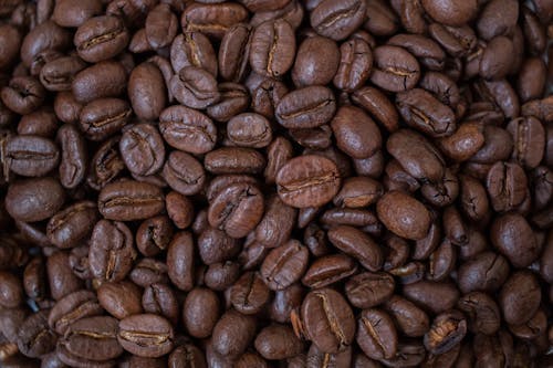 Close-Up Shot of Roasted Coffee Beans 