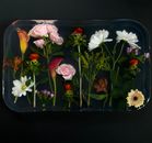 From above of composition of fresh blooming flowers in transparent epoxy resin placed on black surface