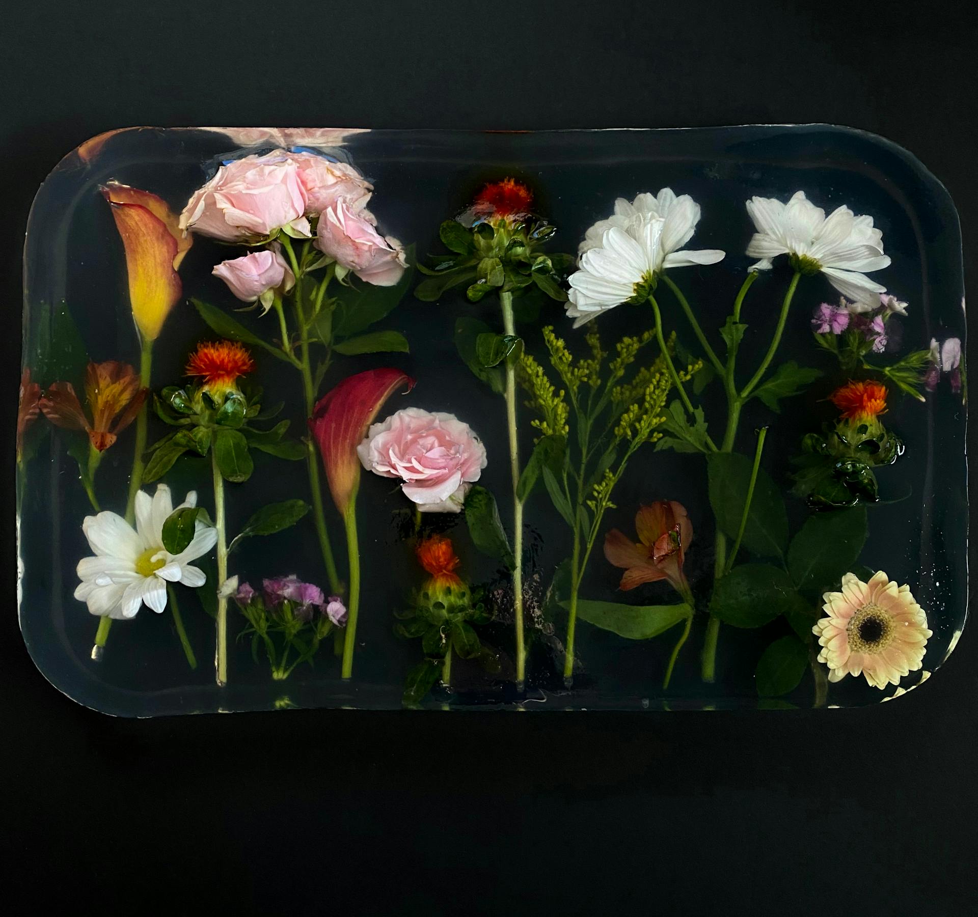 From above of composition of fresh blooming flowers in transparent epoxy resin placed on black surface