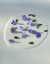 From above of white puddle of spilled liquid decorated with blue periwinkle flowers and green leaves on surface