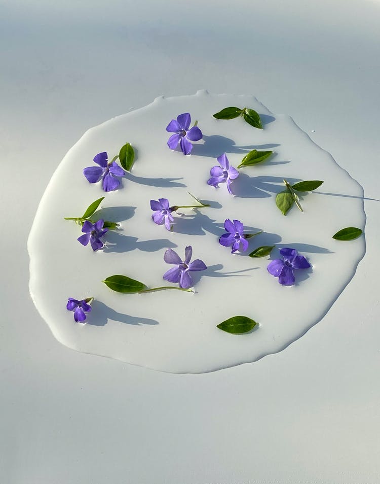 Spilled Milk Decorated With Flowers With Leaves On Table