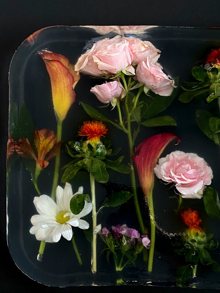 Various Colorful Flowers In Plastic Container With Water