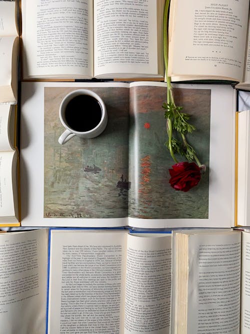 Free Top view of opened books placed near each other on surface with mug with drink and red flower on pages Stock Photo
