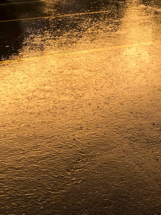 Wet asphalt during heavy rain in evening