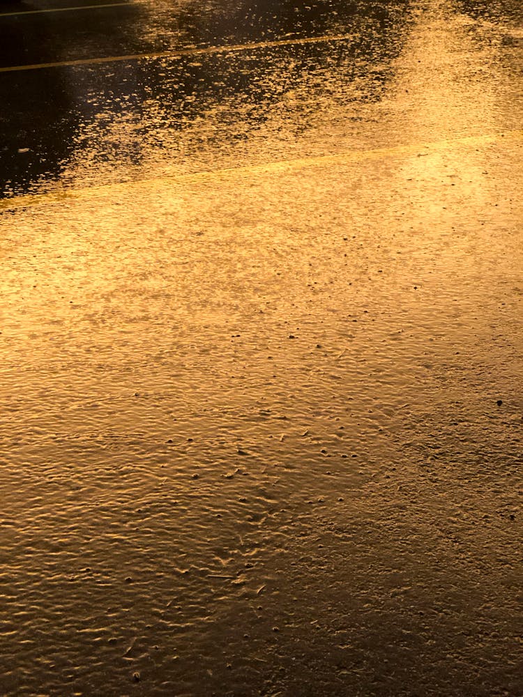 Wet Asphalt During Heavy Rain In Evening